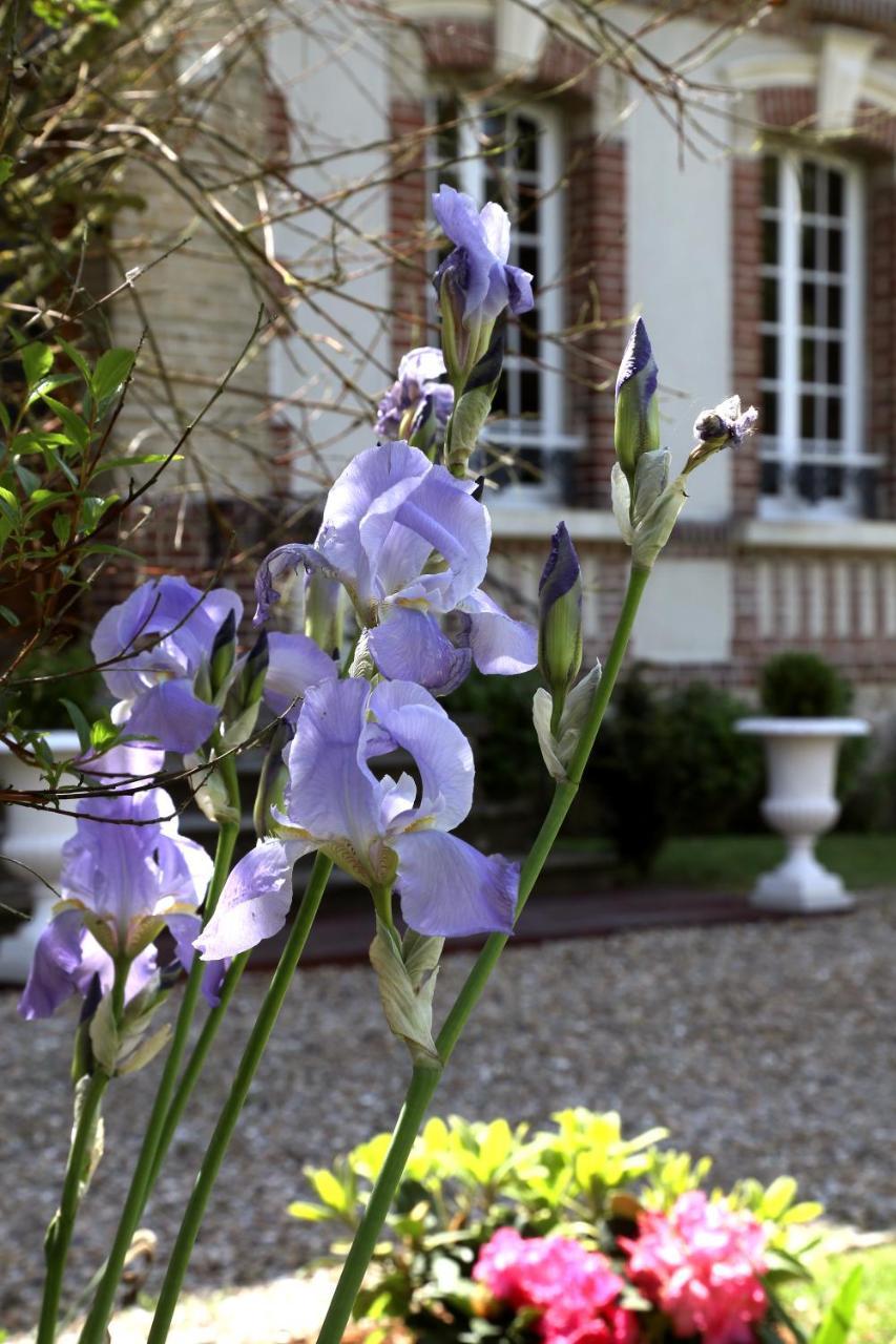 Bed and Breakfast Manoir Le Mesnil Сен-Мартен-о-Шартрен Экстерьер фото